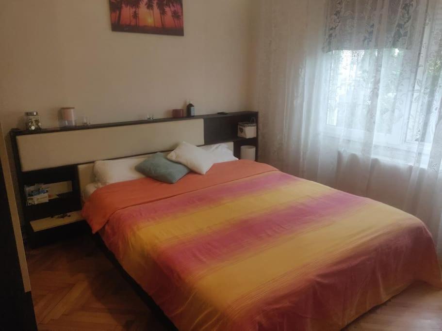 Home Sweet Home -Central & Cozy Iernut Zewnętrze zdjęcie